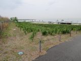 aIMG_0572