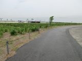 aIMG_0573